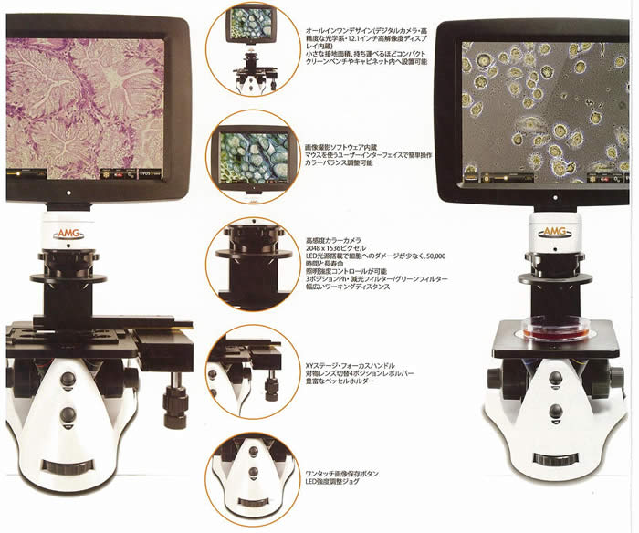 fW^|u EVOS AMF-4302 AME-3300 AMEX-1200 AMEX-1100